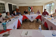 Reunión-Comités-6